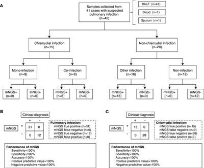 Clinical identification and microbiota analysis of Chlamydia psittaci- and Chlamydia abortus- pneumonia by metagenomic next-generation sequencing